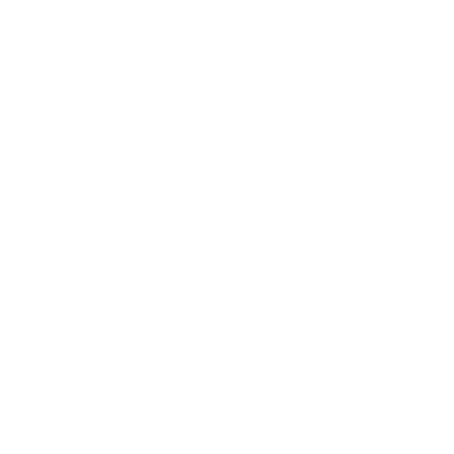 Rapid Service Leaders